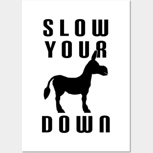 Slow Your Down Posters and Art